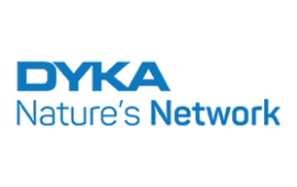 logotyp dyka